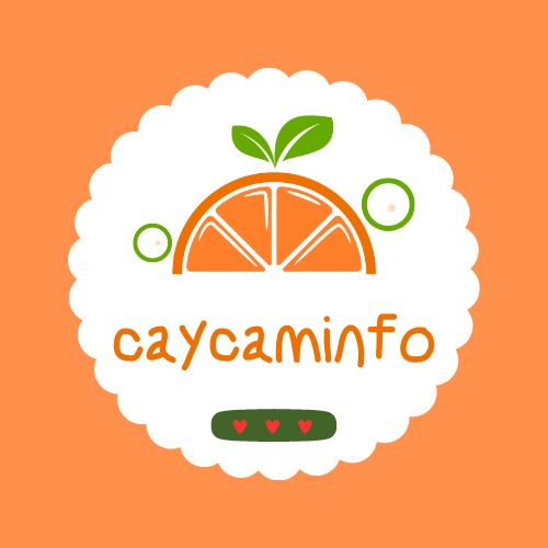 caycaminfo.com